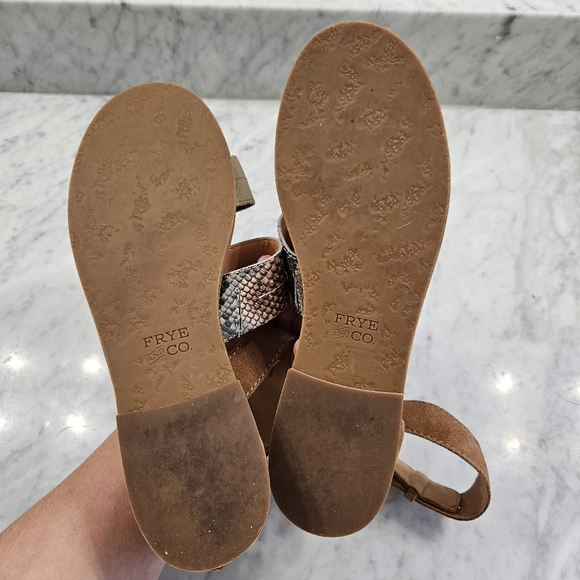 Frye and Co. Women's Evie 2 Band Sandal Flat - Snake Mulit Neutral - SZ 7.5 - Picture 14 of 15